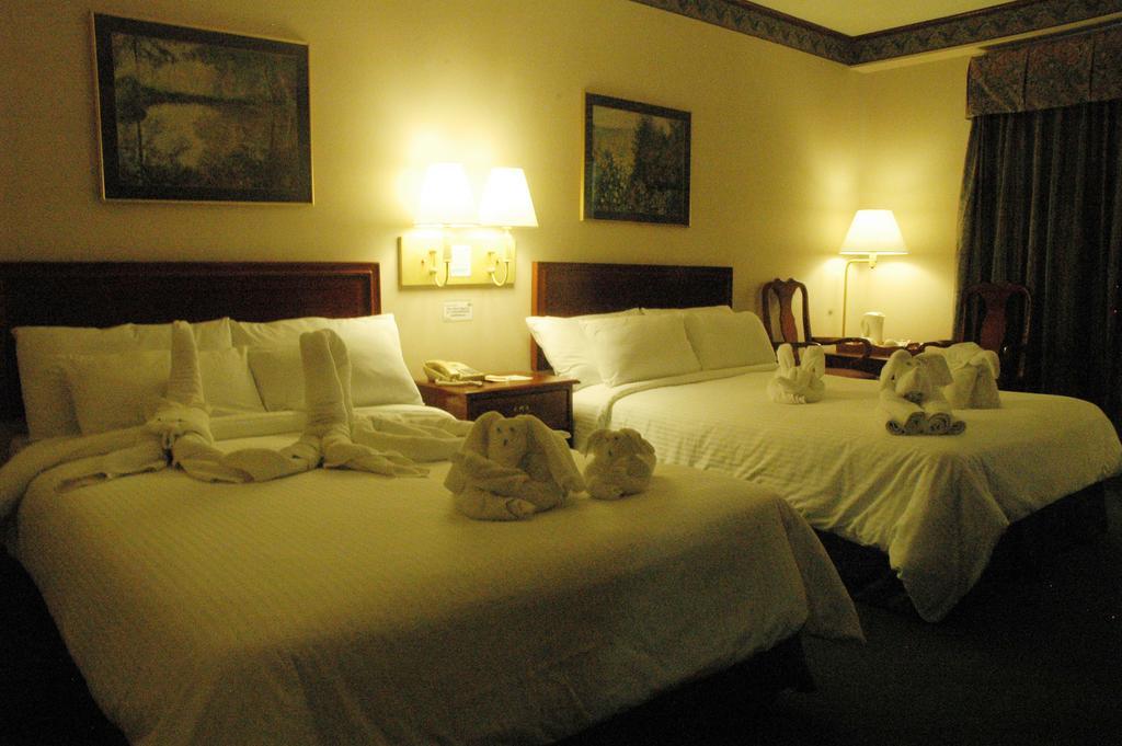 Tagaytay Country Hotel Tagaytay City Camera foto